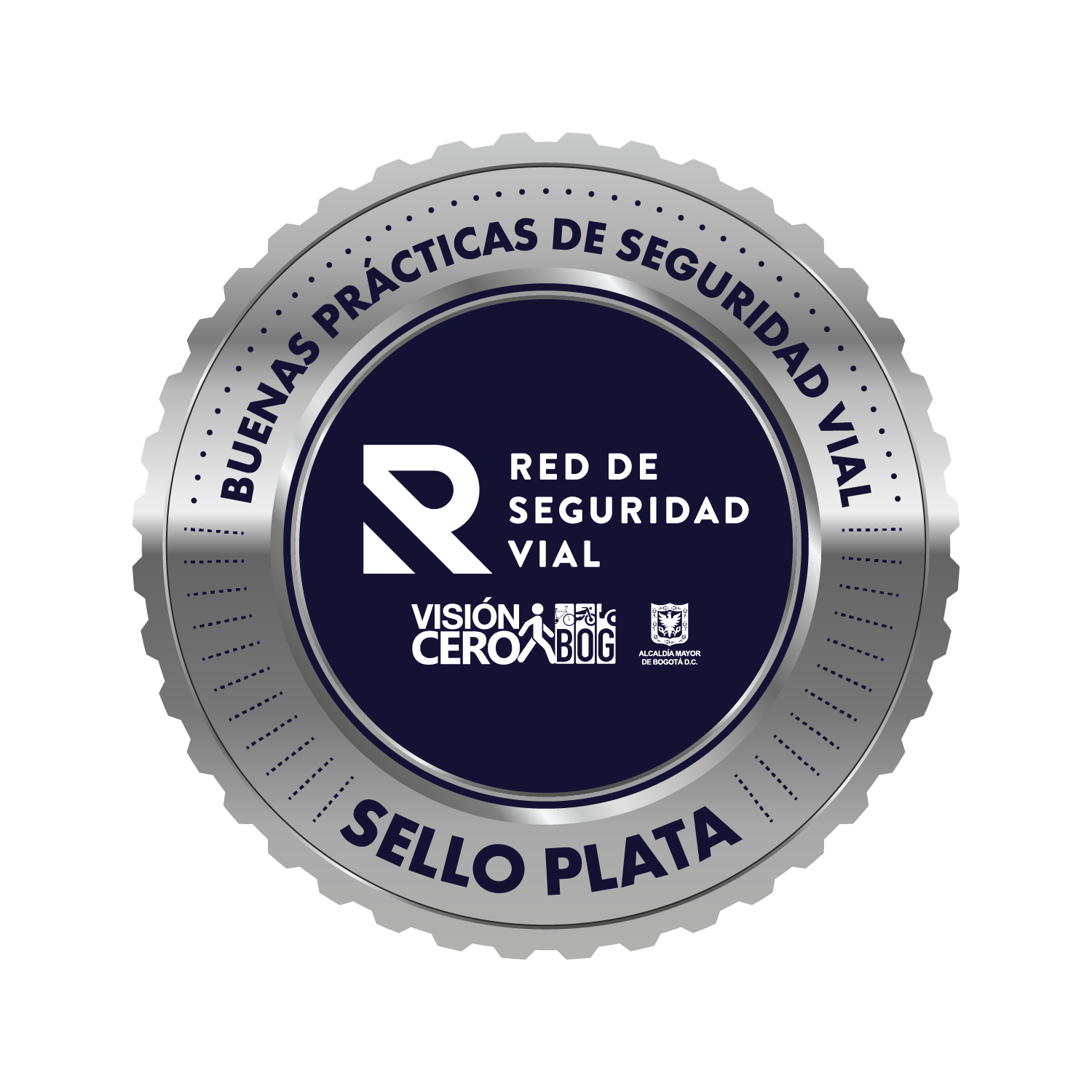 seguridad.vial